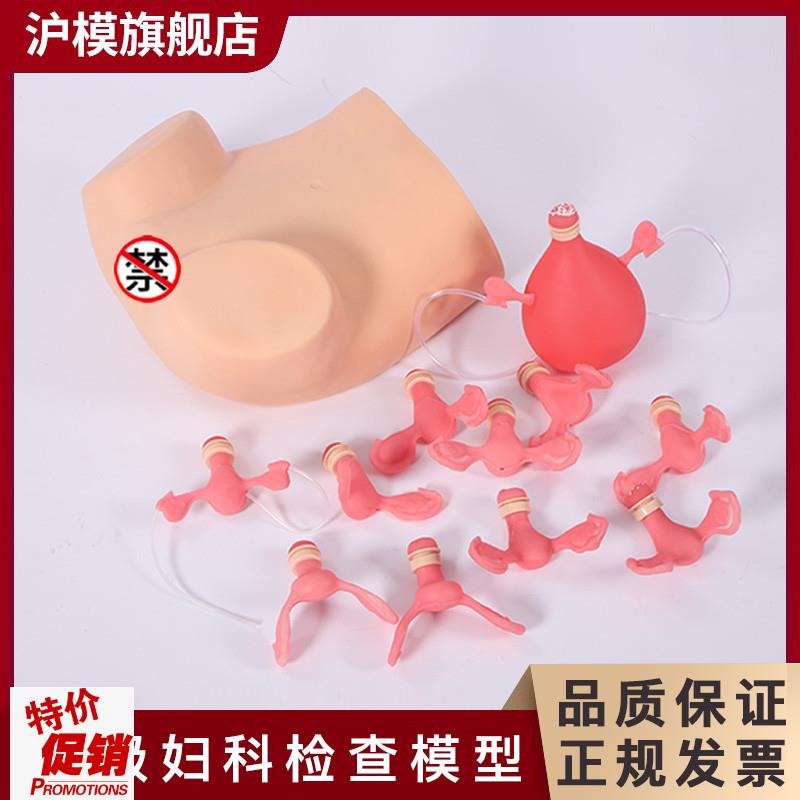 沪模HM/Fd3妇科检查模型宫颈计划生育妇产科训练模具子宫放环取环