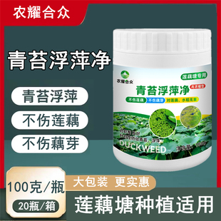 青苔浮萍净藕塘稻田除苔养殖浮萍一喷灵青苔净福寿螺蜗牛不伤嫩芽