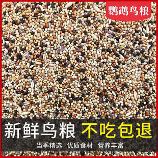 虎皮牡丹玄凤中小型鹦鹉鸟食饲料滋养丸蛋小米鹦鹉混合营养粮