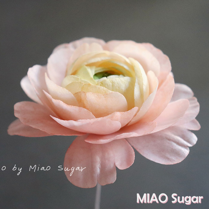 【喵糖的店】花毛茛/洋牡丹糯米纸花糖纸花材料包手工diy工具包邮