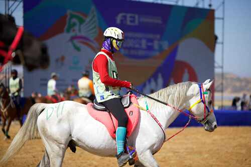 颜色多耐力赛用TIDJANI性价比高