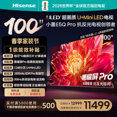 总裁推荐海信电视小墨100E5QPro