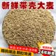 大麦粒带壳大麦大麦茶做麦芽糖发芽苗榨汁可酿酒喂鸡鸽粮鸟食50斤