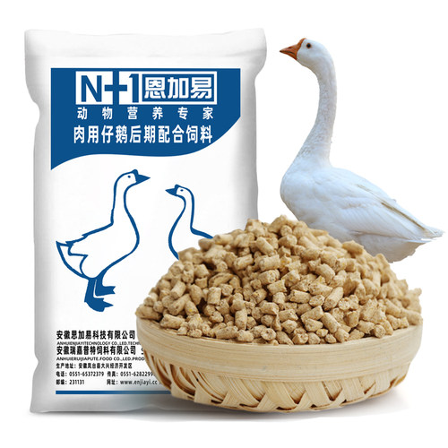 鹅专用饲料小鹅大鹅全价颗粒