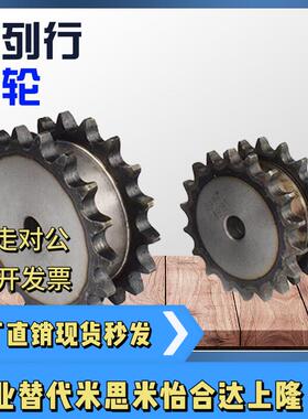 SP50SD15 SP50SD16 SP50SD17-N S-13 20 25 28 30 35 40-双排链轮