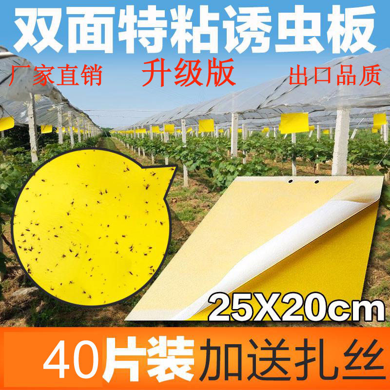 双面粘虫板黄板蓝板（覆纸膜特粘加厚型）包邮适用大棚果蔬茶园等