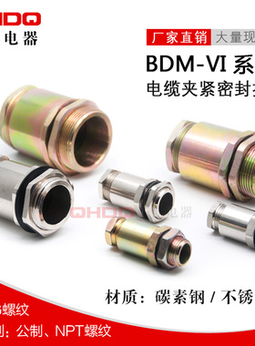 BDM-VI防爆电缆夹紧密封接头 防爆金属格兰头 防水防尘管件DQM