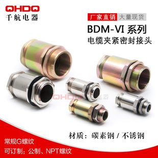 防爆金属格兰头 防水防尘管件DQM VI防爆电缆夹紧密封接头 BDM
