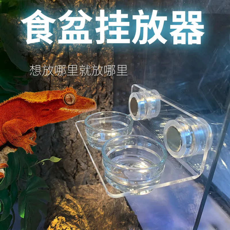 睫角守宫R属树栖爬宠移动水碗 吸盘式可调节高度悬挂食盆水盆