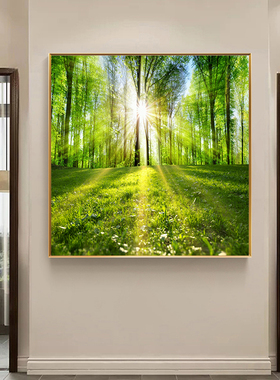 绿色小清新大树装饰画现代简约客厅餐厅玄关挂画树木树林森林壁画