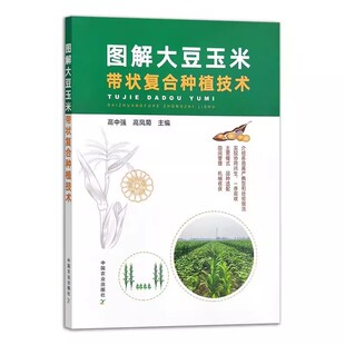 图解大豆玉米带状复合种植技术 大豆玉米种植技术书籍大豆和玉米混合种植方法一季双收田间管理正版