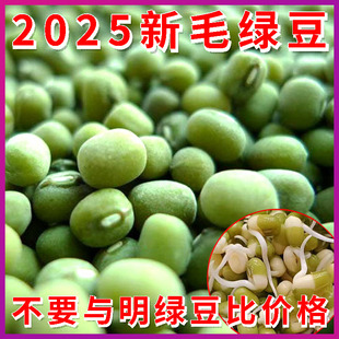 2025新毛绿豆5斤山东粗粮食用笨绿豆绿豆汤 可发芽农家种植大绿豆