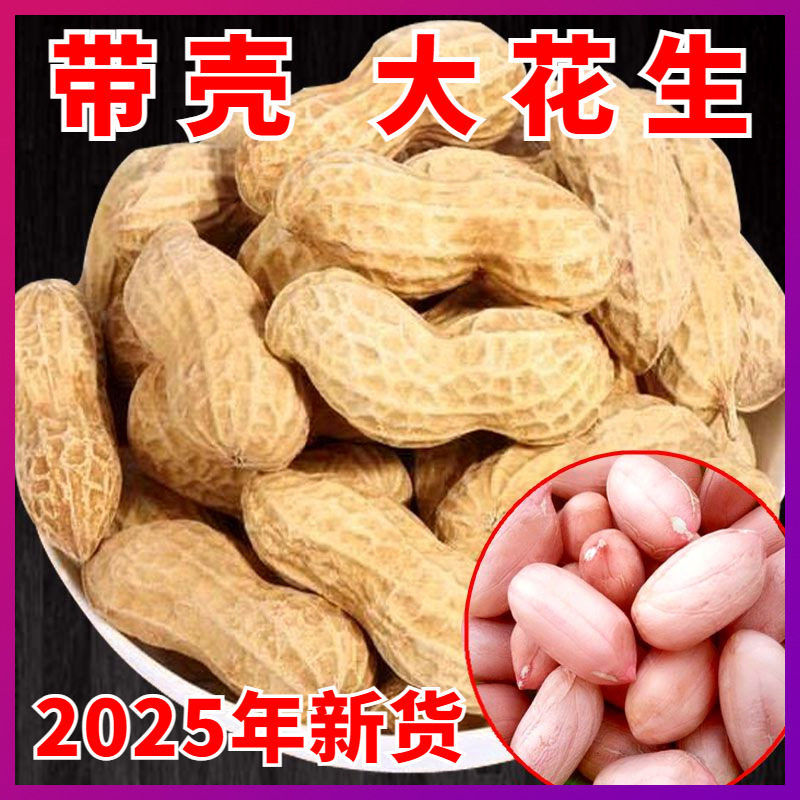 2025新货山东大粒带壳花生5斤新晒干农家新鲜 生长粒花生米可种植