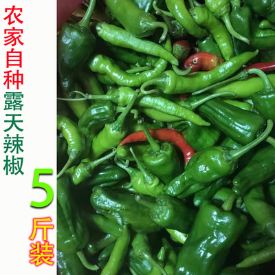 太湖县农家自种樟树中特混合辣椒
