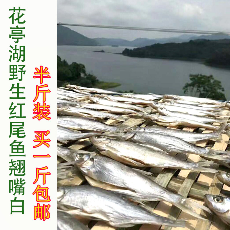 包邮安庆太湖县特产 大餐条黄尾鱼 红尾翘嘴白  咸鱼干黄姑餐子鱼