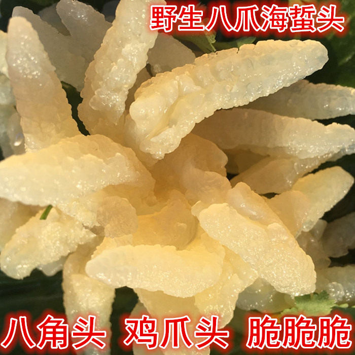 手指蜇八爪海蜇头500g八角头鸡爪鸡脚头野生海哲头海蜇皮海蜇丝