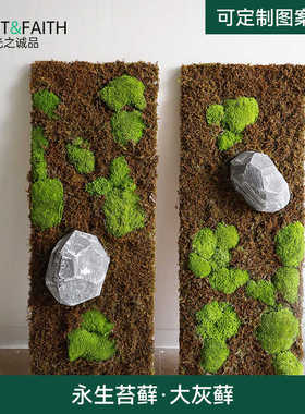 永生苔藓大灰藓苔藓微景观植物墙绿植墙面装饰壁挂挂件挂饰壁饰