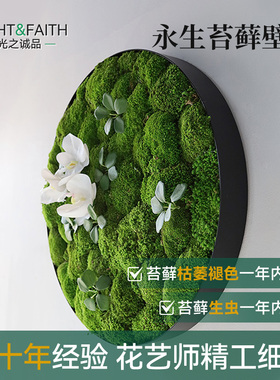 永生苔藓大桌摆微景观卧室轻奢客厅沙发背景墙装饰画挂画桌面摆件