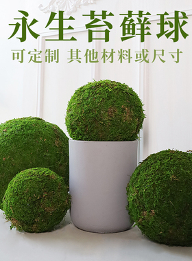 永生苔藓球原创手工定制造景场景软装摆件配材仿真绿植圆球盆栽