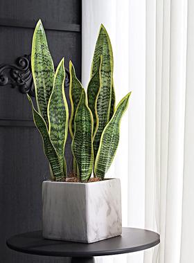 仿真虎皮兰盆栽现代轻奢陶瓷盆大理石纹绿植家居软装摆件装饰品
