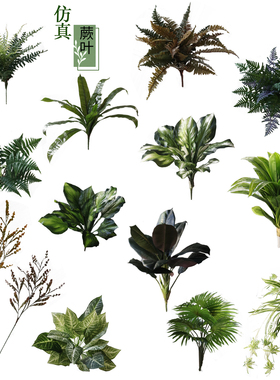 仿真蕨草假植物绿化工程万年青吊兰大号蕨叶波斯蕨排草花草装饰