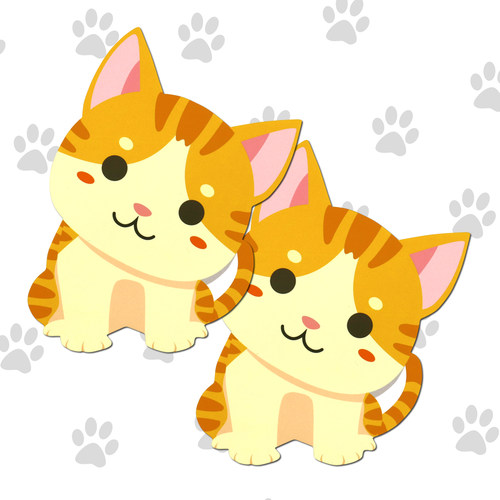 可爱红包可爱小猫咪猫猫红包