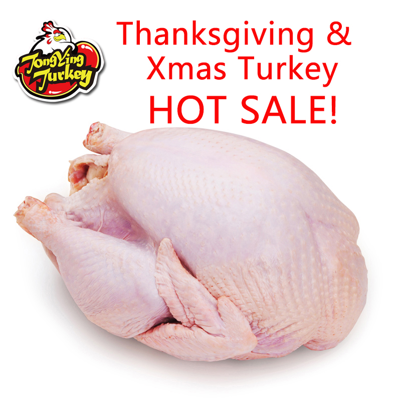 现货圣诞节新鲜turkey火鸡