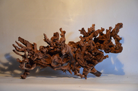 水沉木金絲紅木根雕造景自然樹根