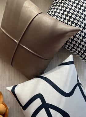 上新 咖系黑白现代风抱枕套客厅家用沙发靠垫大靠枕方靠背带枕芯