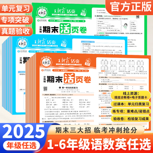 2025新版 语文数学英语冲刺100分期末考试真题试卷 王朝霞试卷期末活页卷三四五六年级一二年级期末试卷精选上册下册人教北师苏教版