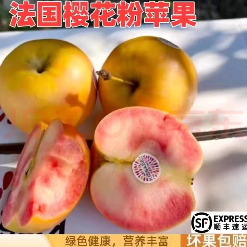 【顺丰】法国樱花粉苹果红肉kissable当季新鲜水果12颗礼盒装酸甜,水产肉类/新鲜蔬果/熟食,苹果,淘宝优惠券,粉丝福利购,淘宝优惠卷