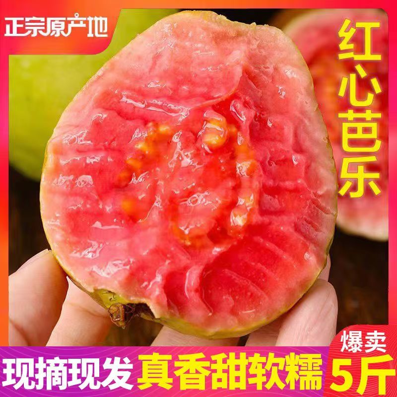 红心奶油芭乐大果软糯香甜低糖西瓜胭脂藩番石榴水果新鲜包邮海南