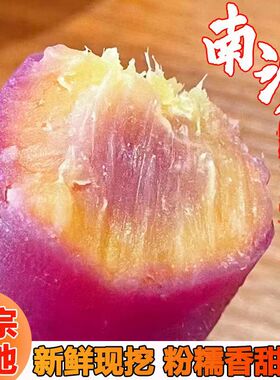 正宗广州南沙一点红番薯新鲜现挖冰淇淋红薯板栗薯自种蜜薯