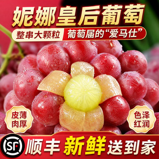 顺丰包邮正宗妮娜皇后葡萄新鲜无籽红宝石应当季水果女皇尼娜红提