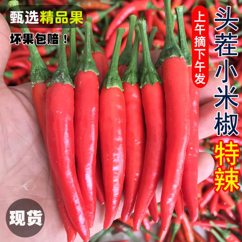 小米辣椒新鲜5斤农家自种现摘朝天椒薄皮辣椒特辣指天椒小米椒