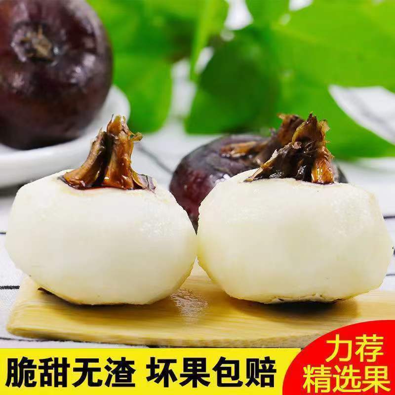 特大广西荔浦马蹄甜脆荸荠新鲜地梨地栗红马蹄果时令水果蔬菜新鲜