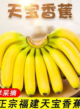 福建漳州香甜天宝香蕉banana自然熟整箱包邮5斤新鲜当季孕妇水果