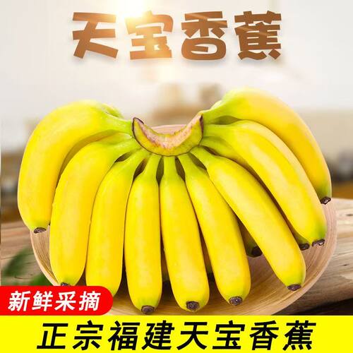 福建漳州香甜天宝香蕉banana自然熟整箱包邮5斤新鲜当季孕妇水果