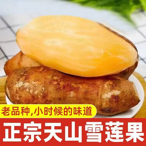 云南特产天山雪莲果红心超甜新鲜9斤一整箱包邮现挖脆甜当季水果