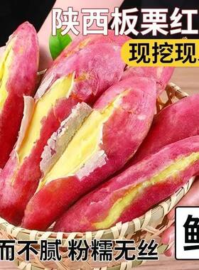 陕西正宗板栗红薯临潼农家自种新鲜白薯粉糯小地瓜整箱番薯小香薯