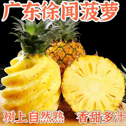 广东徐闻菠萝水果当季香水菠萝新鲜凤梨湛江香脆小菠萝超甜大箱装