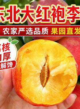 2包邮辽宁发货产地直发宝宝水果
