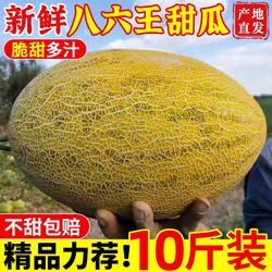 海南八六王瓜哈密瓜甜瓜9斤新鲜水果当季正宗伽师瓜网纹蜜瓜礼盒