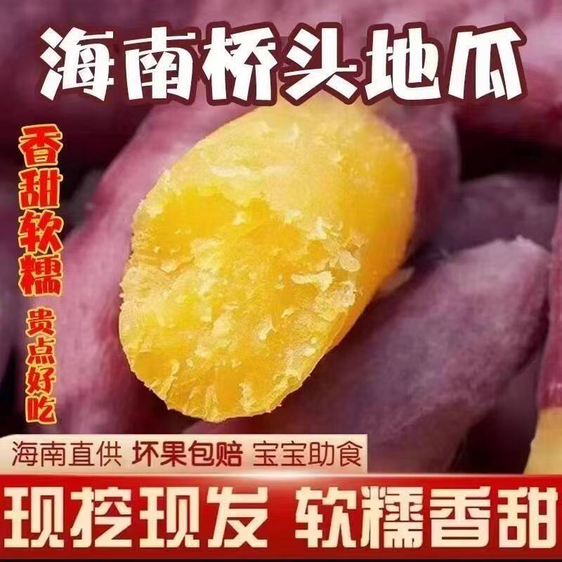 海南桥头地瓜澄迈正宗富硒沙地番薯粉糯香甜新鲜黄心圆果板栗红薯图片