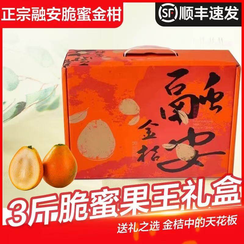 顺丰包邮脆蜜金柑融安金桔精品礼盒新鲜水果广西金桔土豪包装