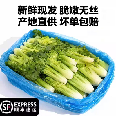 云南高原水果清芹生吃新鲜水果芹菜芯西芹当季蔬菜现采现发绿青菜