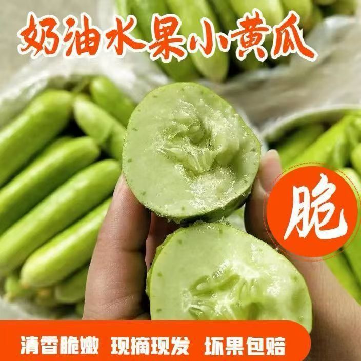低卡水果黄瓜新鲜产地直发网红款图片