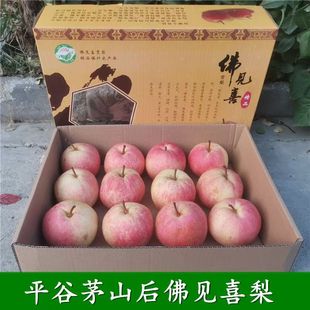 梨北京平谷区佛见喜梨果园直销当季新鲜苹果梨孕妇水果贡梨礼盒送