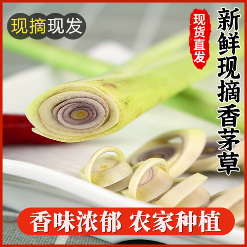 香茅草新鲜柠檬草叶香茅香料