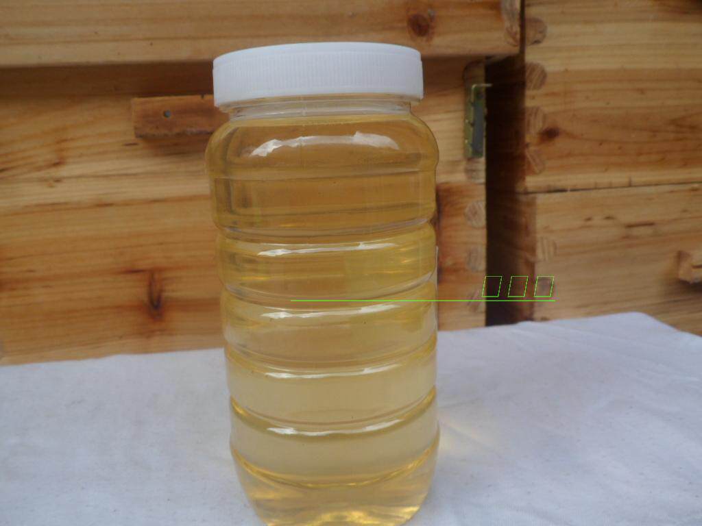 姚蜂子24年秦岭高山槐花蜂蜜生态原蜜农家自产1000克包邮